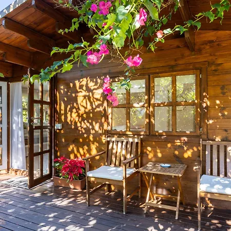 Apartament Home2book Cozy Bougainville, Peace Retreat