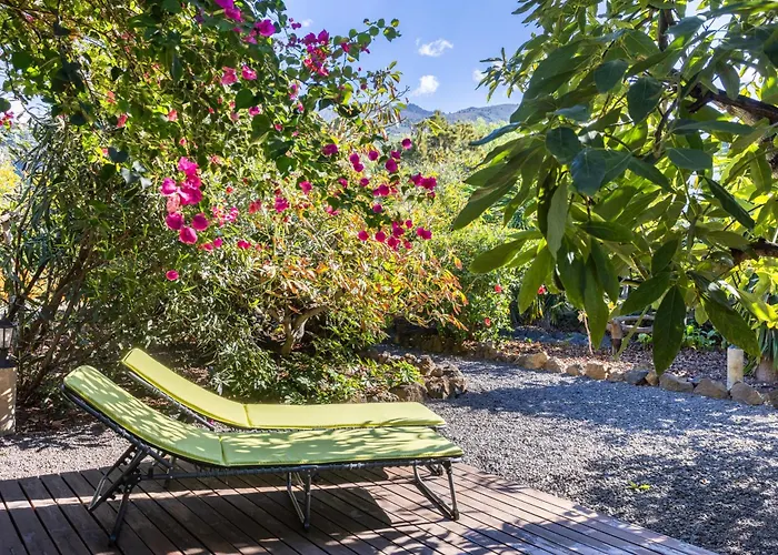 Home2book Cozy Bougainville, Peace Retreat Apartment La Orotava
