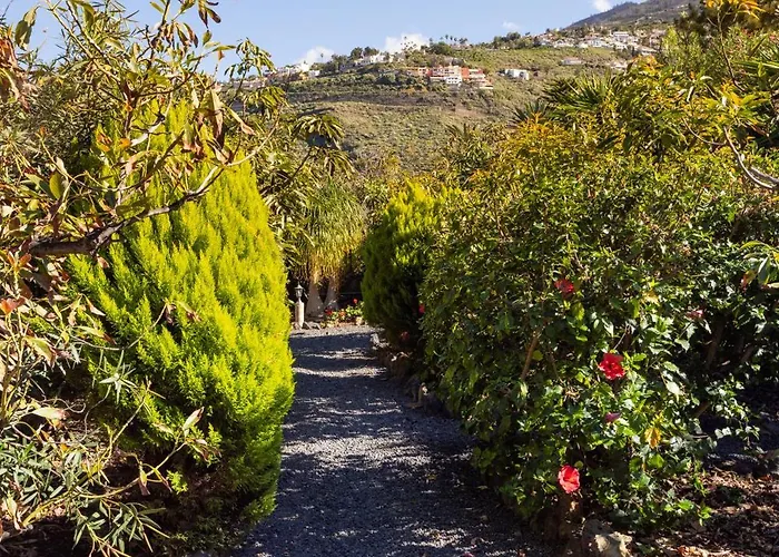 Home2book Cozy Bougainville, Peace Retreat * La Orotava